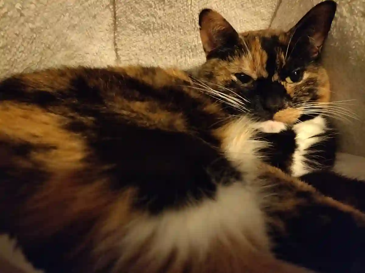 Heat wave to push temps near 100 F across central, eastern US